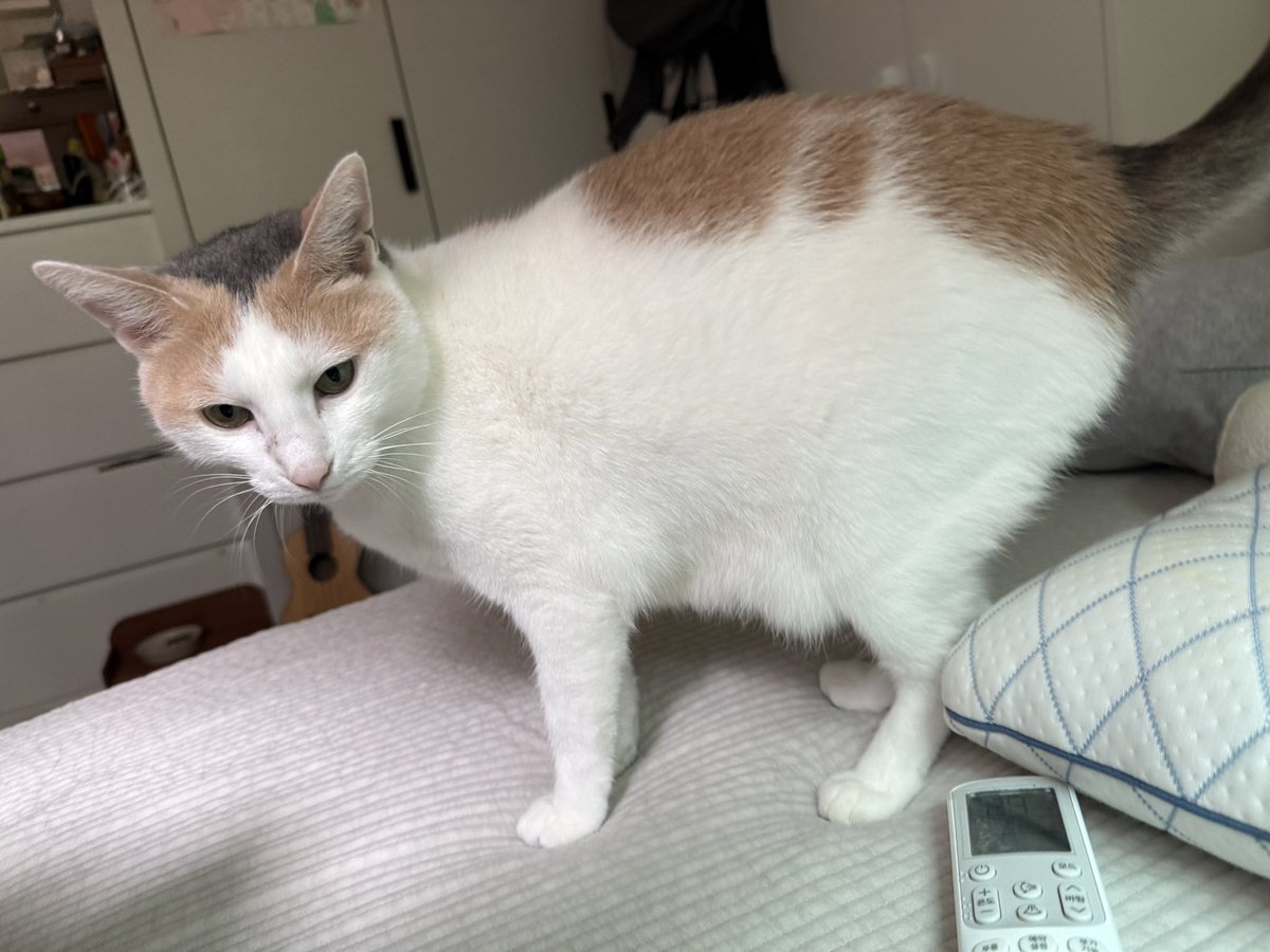 vmflfkep's tweet photo. 당신은 시애틀에 사는 짐모시씨? https://t.co/MdpaIHfmcA