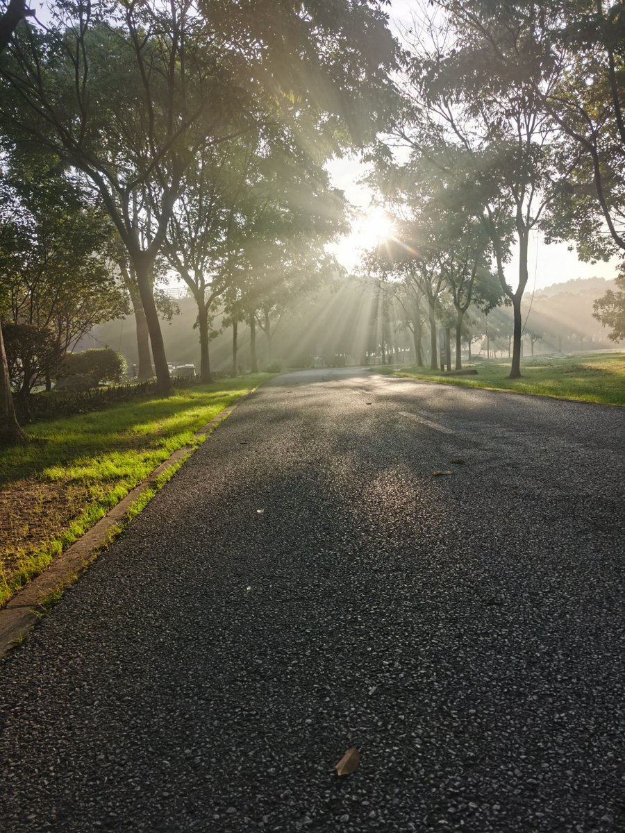 myujig16's tweet photo. Just had the most refreshing morning walk under golden sun—small moments that make today feel soft and full. https://t.co/SAdpL1PSEz