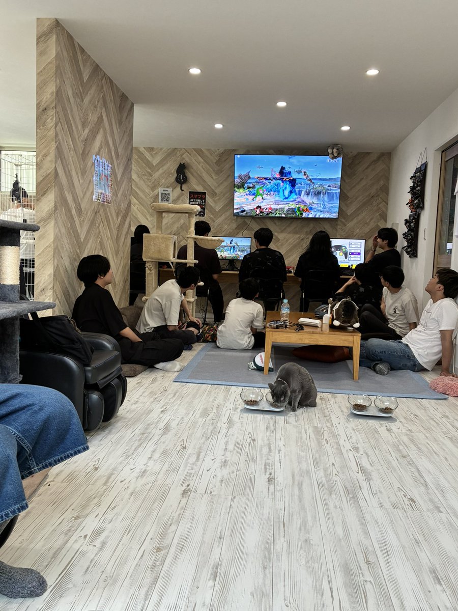Cat_SSB's tweet photo. まもなくBブロック予選開始😺 https://t.co/F3QQ1v4hXy