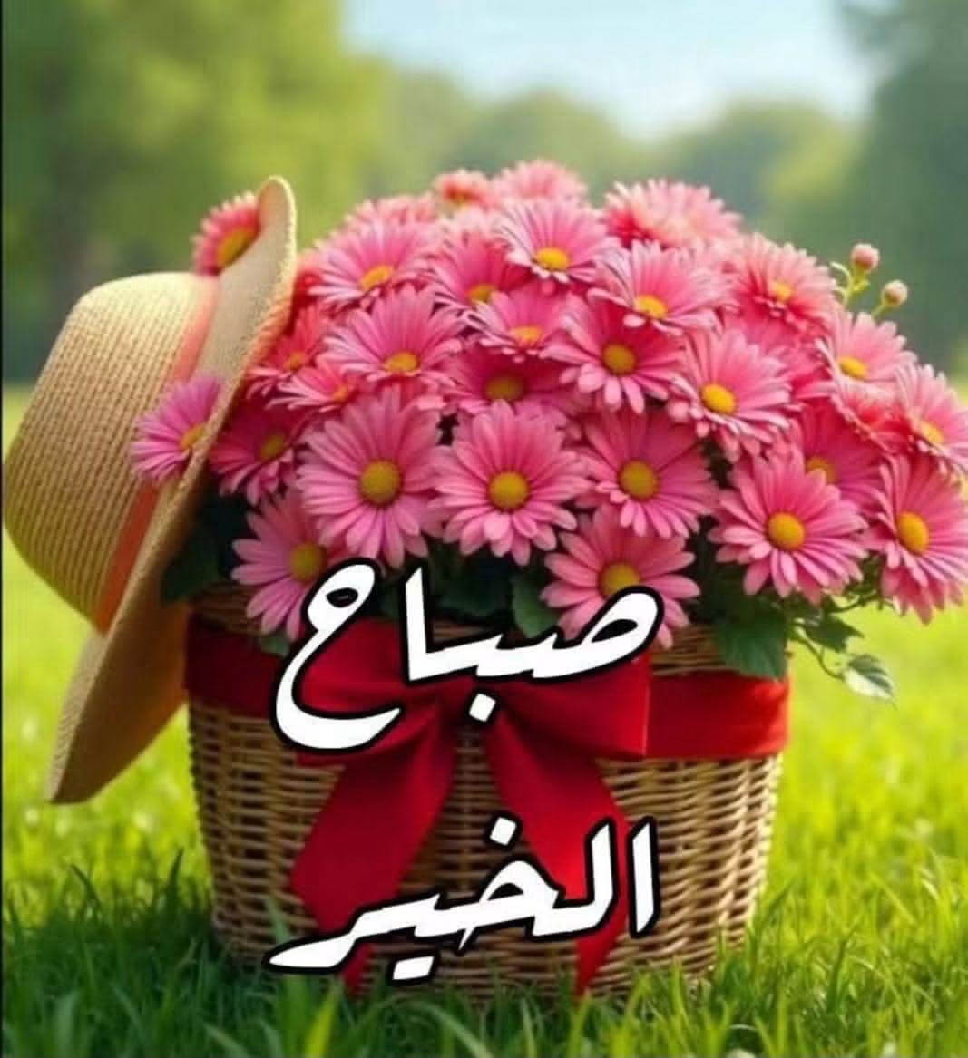 مُـــنى 💎 tweet media