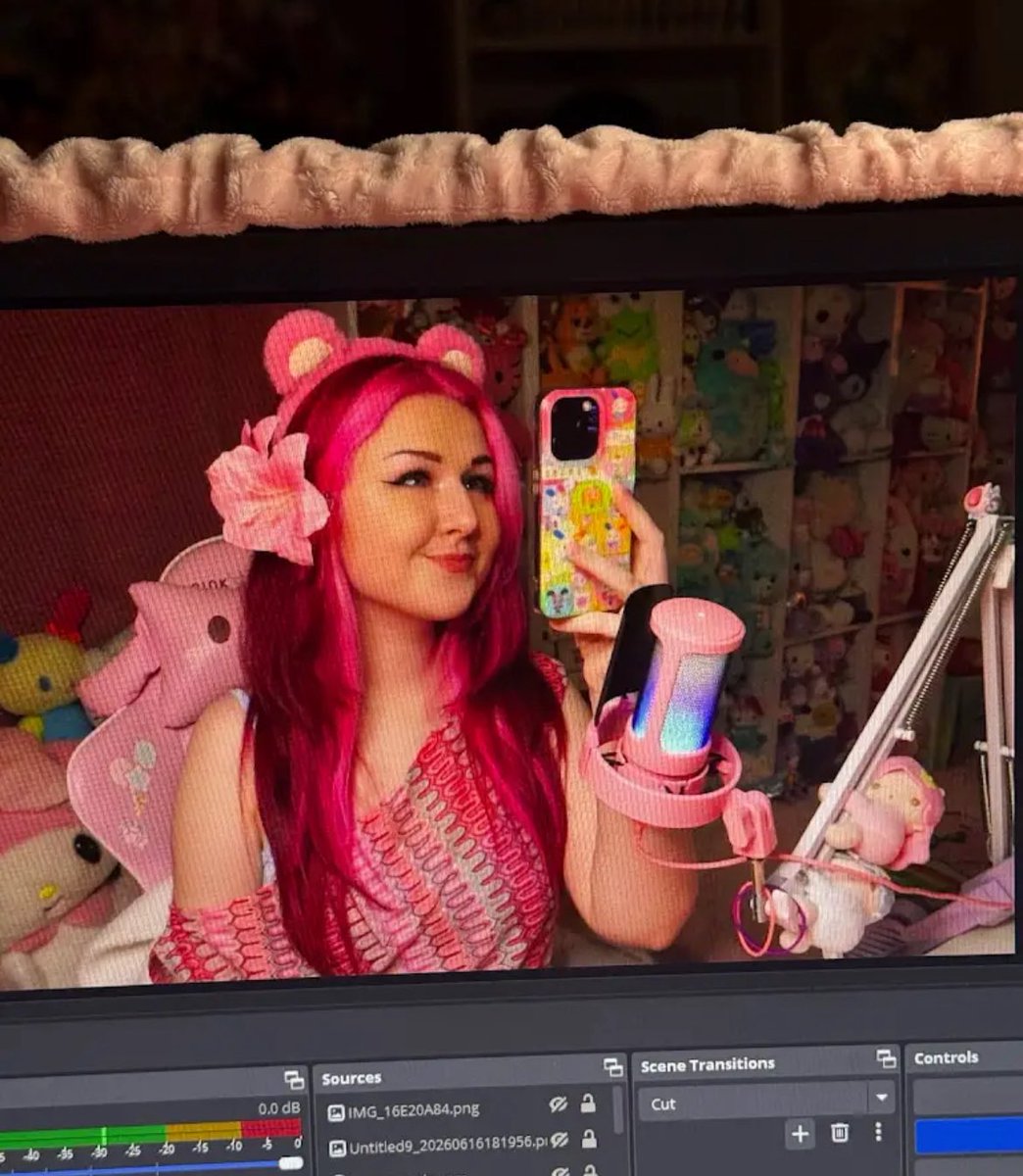 🎀💖 𝓟𝓡𝓘𝓝𝓒𝓔𝓢𝓢 𝓟𝓘𝓝𝓚💖🎀 (@PINK73646828669) / Posts / X