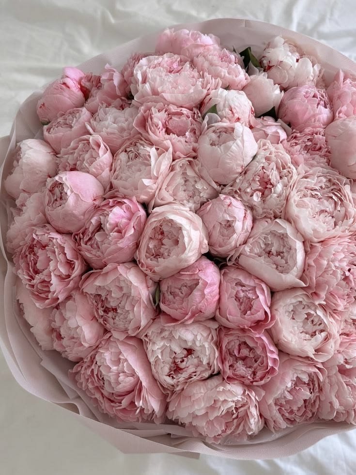none_nona2nd's tweet photo. Selamat pagi, atas nama Tuan @sei04n ini ada kiriman bucket bunga Peony hari ini.
Secara umum, bunga peony melambangkan kemakmuran, keberuntungan, cinta, dan kehormatan.
Seperti halnya cinta #Casseitte akan menjadi keberuntungan bagi kakak.
-With all love, your beloved warga https://t.co/pCH67VMJJp