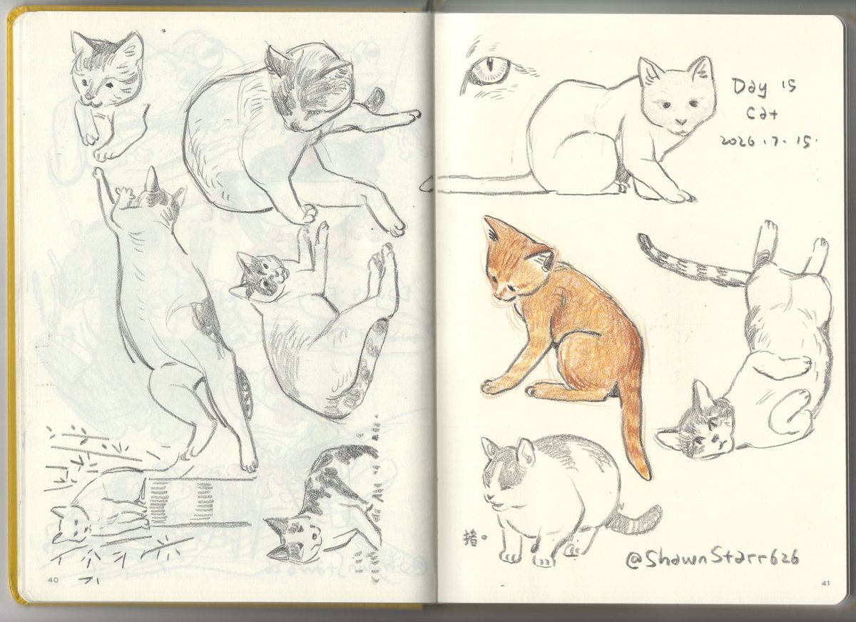 ShawnStarr626's tweet photo. #sketch https://t.co/DNKBiLRCnF