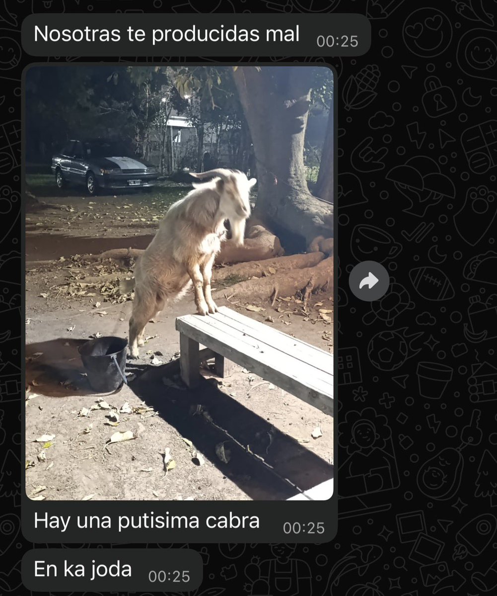 shelovesjuli's tweet photo. sabes que la joda va a estar re buena cuando https://t.co/EEbNqa24uy