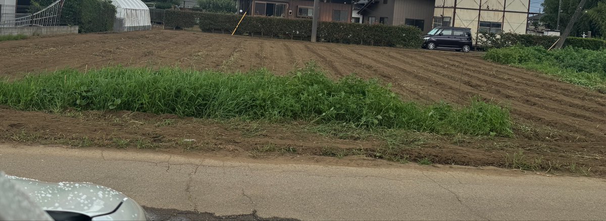 HIMA_FUNA's tweet photo. 全部ダメになったと思って🥜が半分生きてて

🌽はかなり優秀な結果を残している

芋は見えない

🫛は四本生きてたのに
一本以外
肥料直がけして死亡

買って食べているだけの人間には分からない
農家さんの努力を知る

#感謝
#勉強タイム https://t.co/kNuiItCFtz