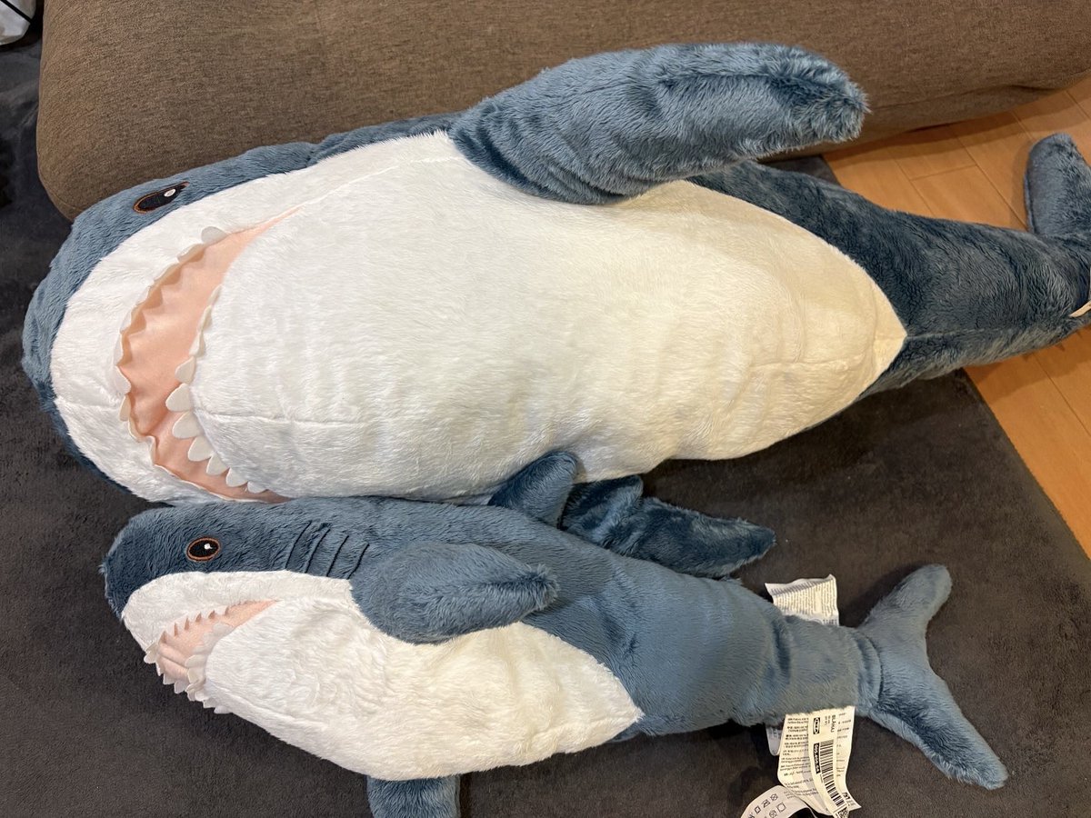 AA_Mentai's tweet photo. 今更ながらIKEAのサメを捕獲した!!
味があってとてもよい。寝室に転がそうねぇ。 https://t.co/mMMbbRzDI5