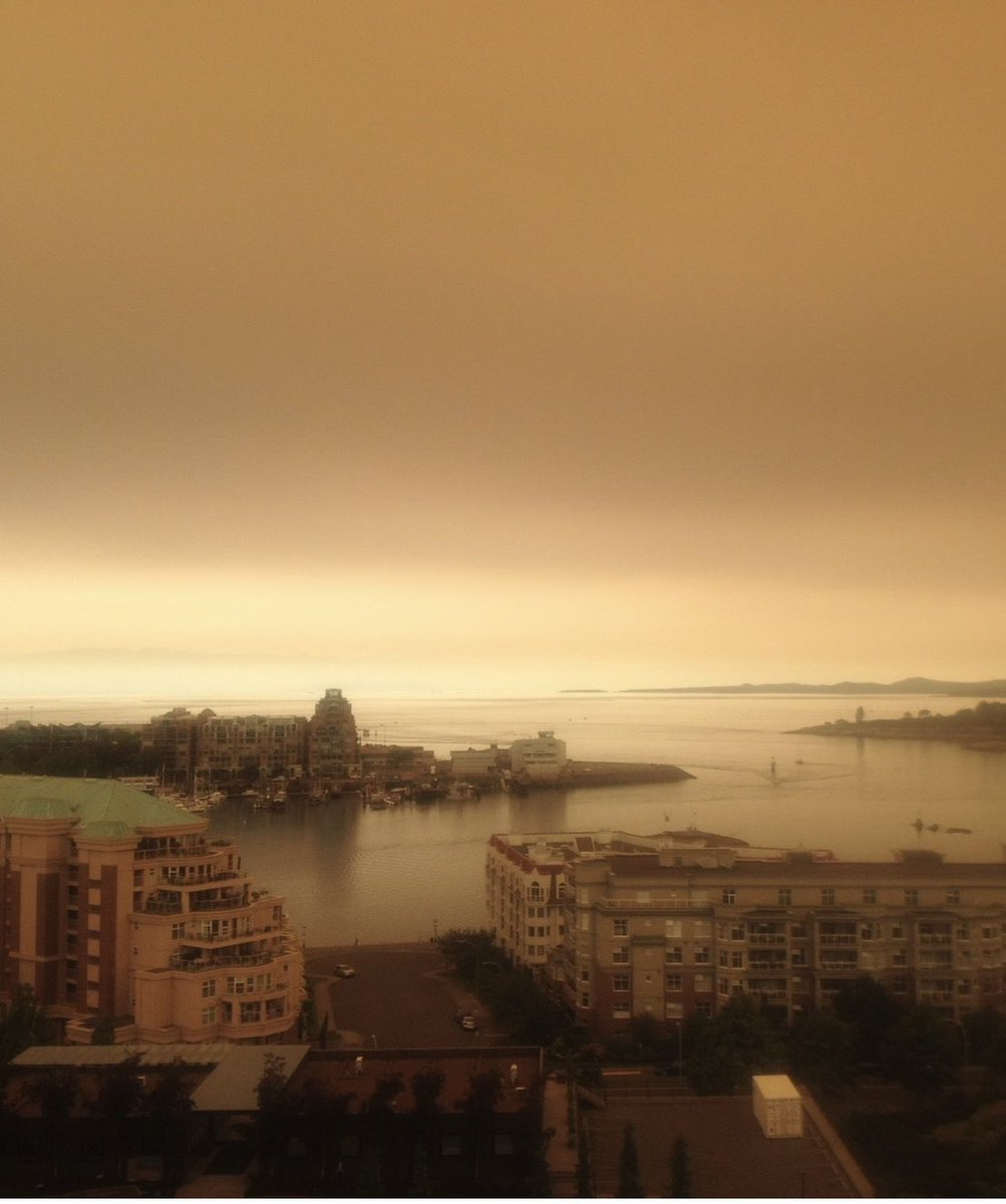 darlenet8's tweet photo. @nicksortor The view from my BC home at high noon when Washington state fires are burning. I’ll just leave this here… https://t.co/vTELNfG41x