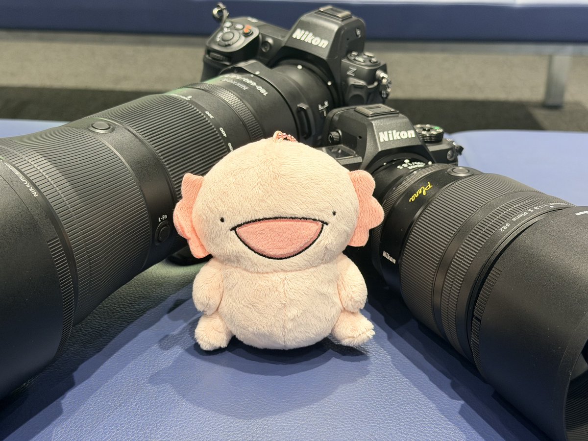matchypoa's tweet photo. ﾌﾟﾚﾅﾁｬｰﾝ‼️ https://t.co/bugQXIV9ef
