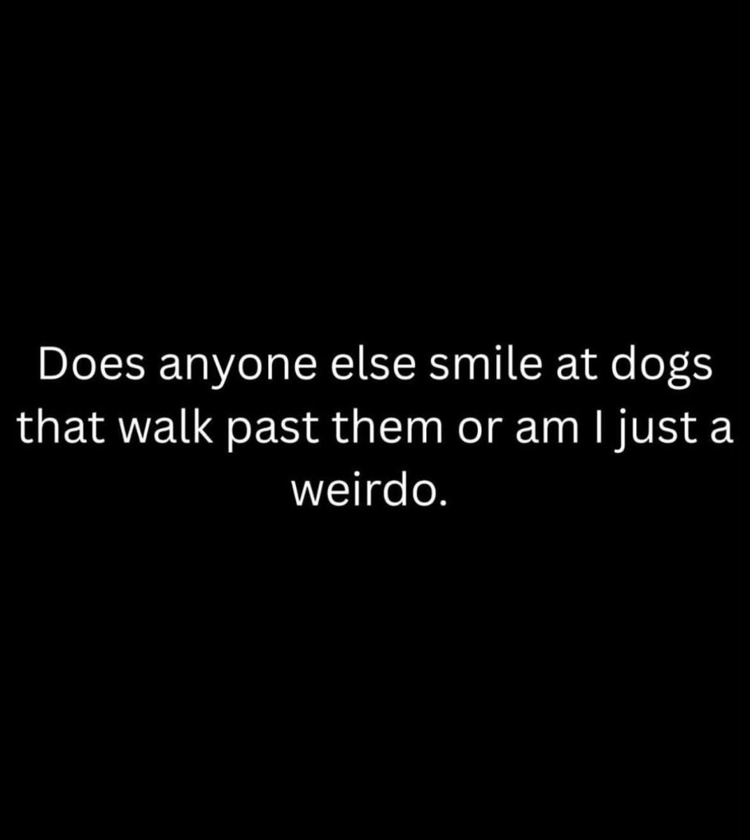 SammydaBulldog's tweet photo. Me!!!!!✔️✔️🤍 https://t.co/eSnuhtvFvY