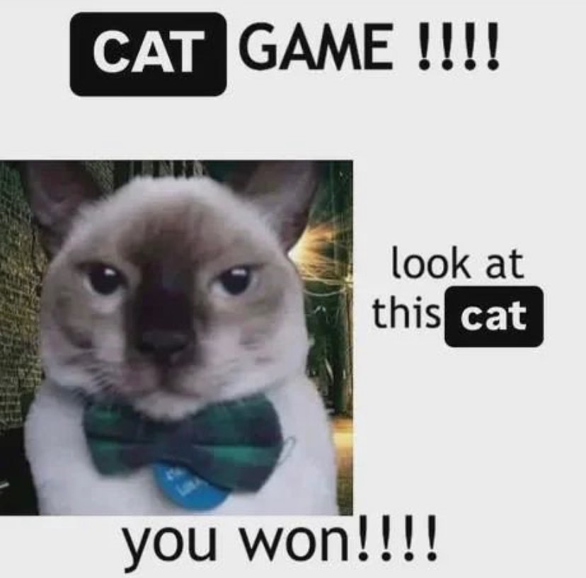 PunchingCat's tweet photo. https://t.co/ajr2q3N99s