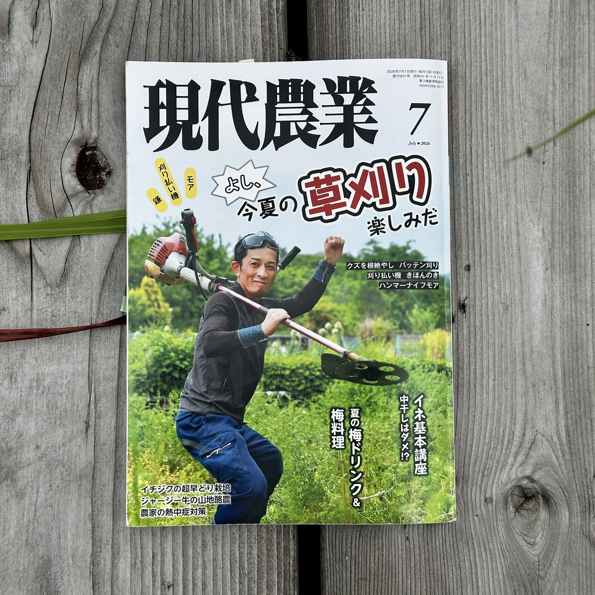 _norippa's tweet photo. 草刈り特集の現代農業を貸してもらった📖ジャガイモの花がきれい🌱 https://t.co/uyo3N9LQxf