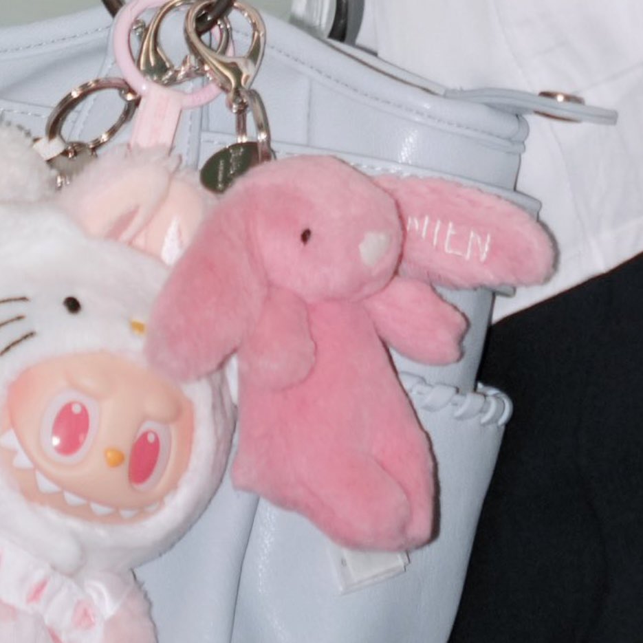 Iovesoseol's tweet photo. the jellycat embroidered with her name oh my god i love her so much i’m gonna die https://t.co/dJUI47nrE5