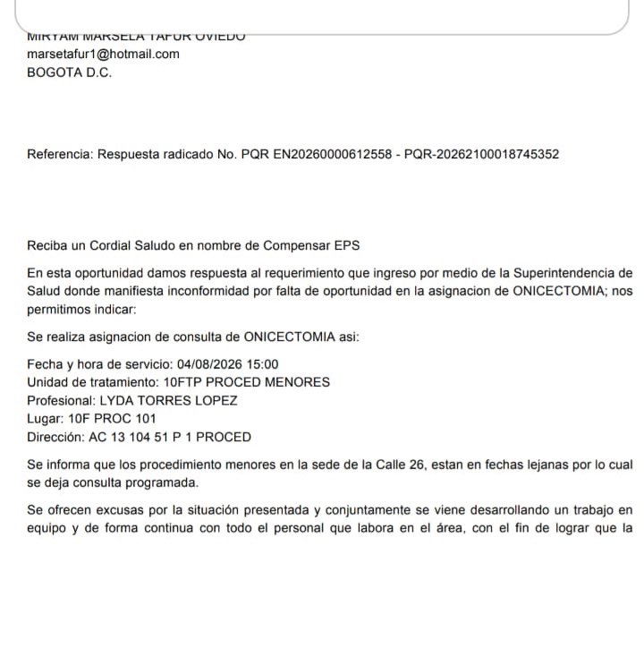 @mmtafov1981 tweet media