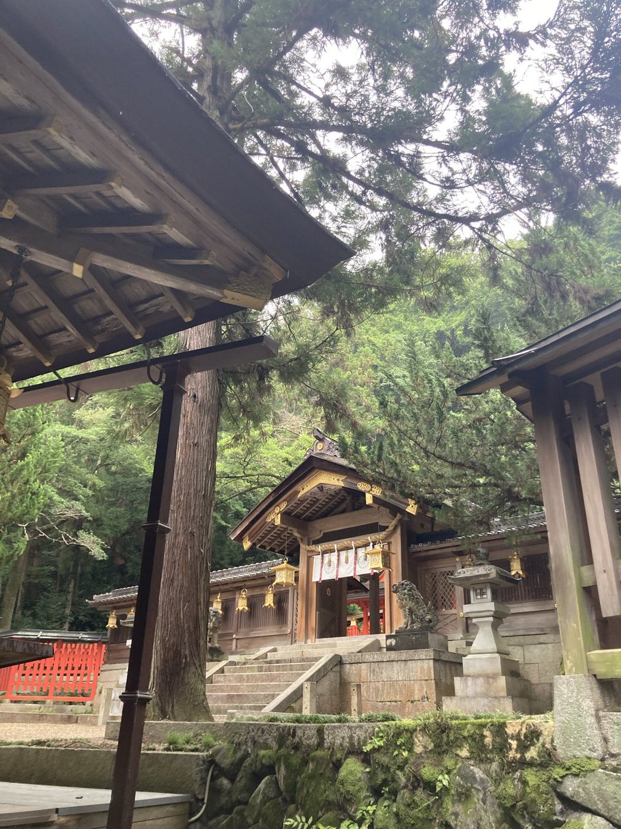 yanchoco_jp's tweet photo. 枚岡神社⛩️
雨が降ってきた〜！ https://t.co/DOEWdMYWsQ