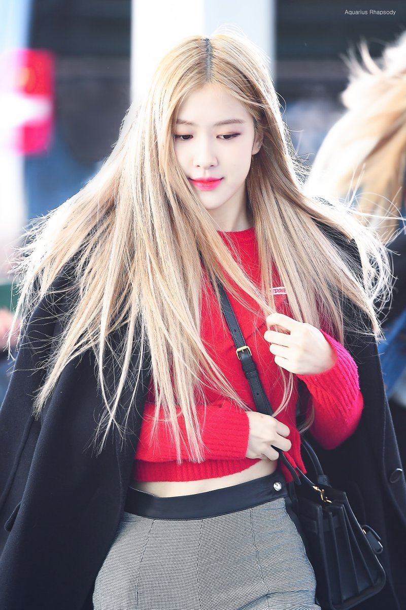 APHÍ-R-ꫂ ၴႅrosie🍀 tweet media