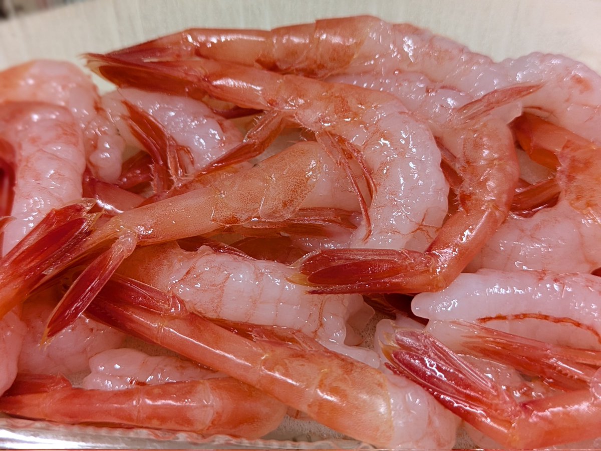yzX5MHyDY4C8aSV's tweet photo. アジ、甘エビ、カツオ、マコガレイなど…。　よろしくお願い致します😊
#魚城　#うおせい　#浦安市 https://t.co/I1sldhVt4X