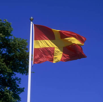hakansvahn's tweet photo. @prepasha Det där är Skånes flagga https://t.co/VqlCLDcHkZ