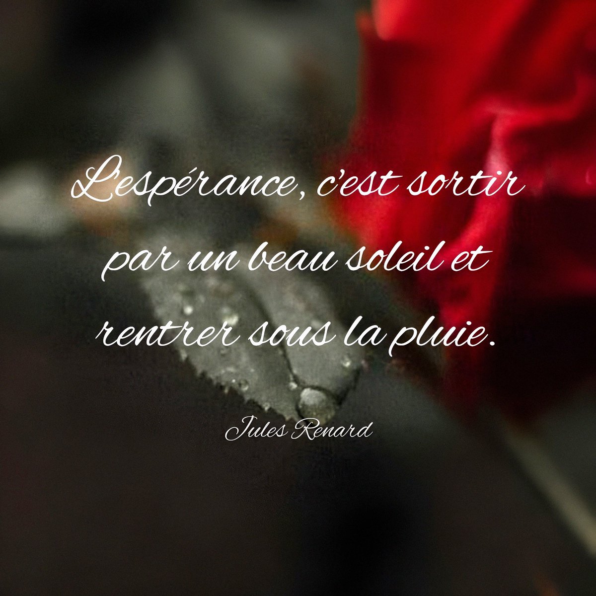 lylasmauve's tweet photo. Bonjour, excellent début de week-end à tous ! 😘🙏☀️🥛🌡 https://t.co/r8Zc6B2tix