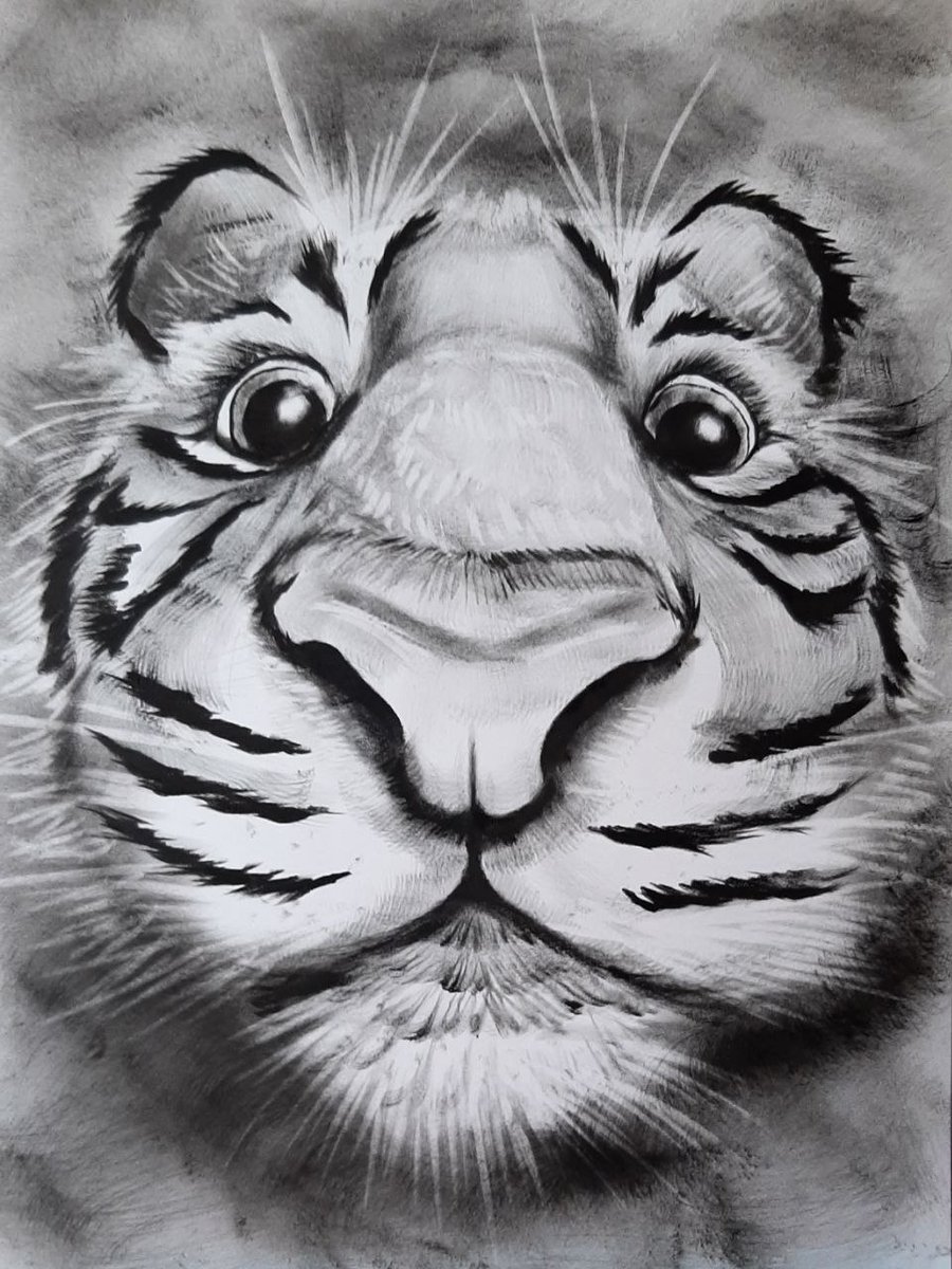 LionSkyey's tweet photo. Here’s a wide-angle shot of a tiger.
#oilpainter #tiger https://t.co/gr3X31Yr8N