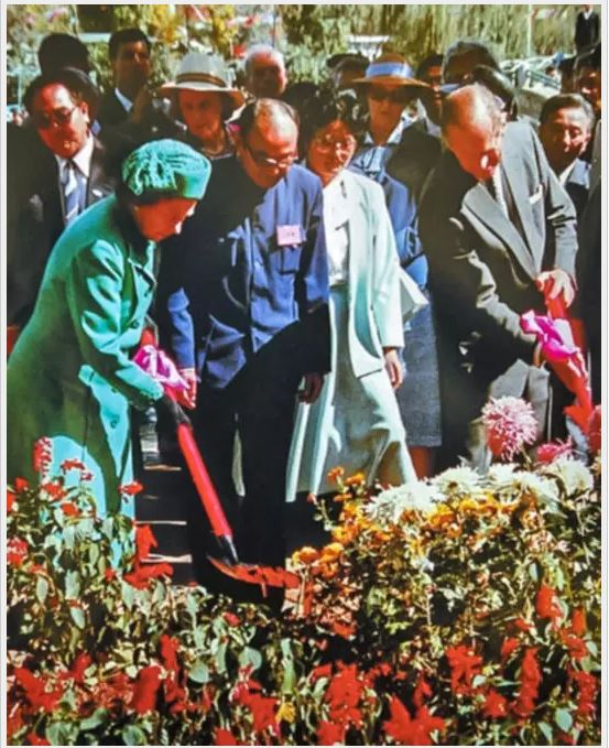 Waterlu111's tweet photo. 小时候听父母说过，伊丽莎白女王来昆明访问的时候，东风路上摆满了山茶花，哈哈哈哈。 https://t.co/F5Amrafufi