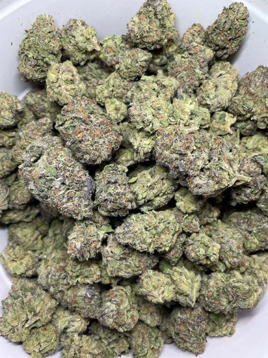 Trapschola12c's tweet photo. Ice cream cake ice cream🍦🎂🔥
$700🤑🤑🤑
☎️ ORDER ON TELE: https://t.co/NPkXYQbAuS
NEED SOMETHING ELSE?
SHOP ON MY DISCORD https://t.co/osuVKTkyjN
#weed #florida #horny #flower #lean #nyc #porn #zaza #420community #cannabis https://t.co/iOqCUFbWv4