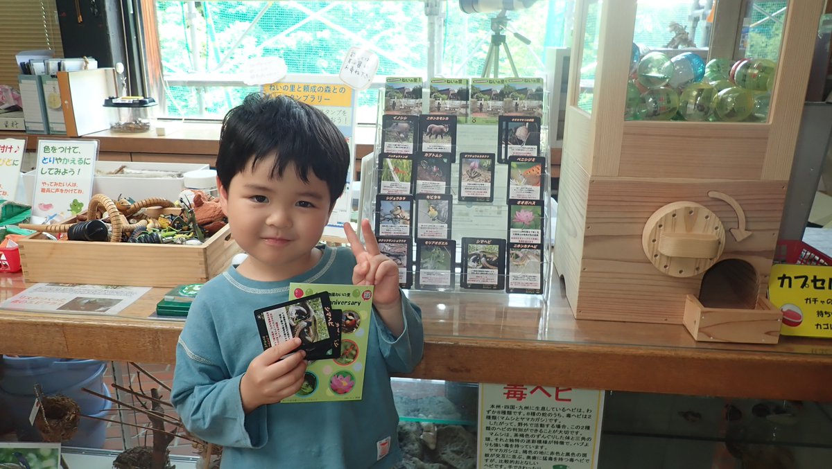 shizen_nei's tweet photo. ねいの里＆頼成の森スタンプラリーで初めての達成者が出ました！
ねいの里と頼成の森に置いてあるスタンプカードにスタンプを集めると、生き物カードがもらえるので、ぜひみんなチャレンジしにきてね♪
＃スタンプカード　＃頼成の森　＃生き物カード https://t.co/4Yt4uP6xCn