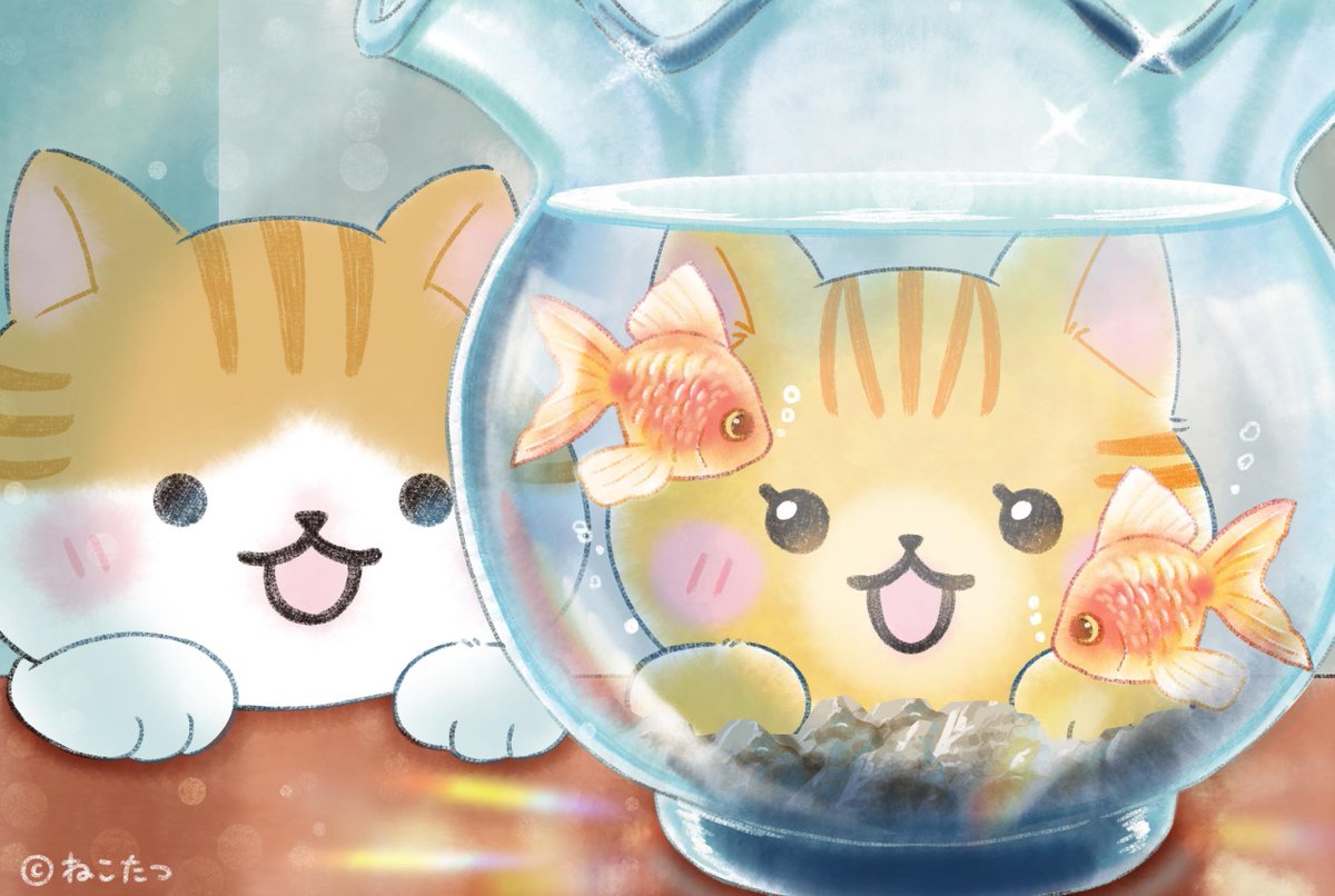公式】ねこたつ 〜 いつでもそばにいるニャ。 (@nekotatsu5) / Posts / X