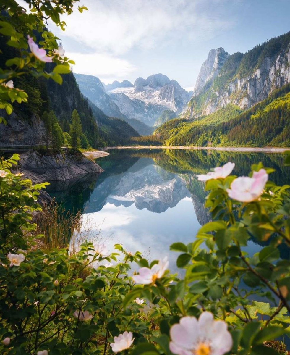 Miep51082958's tweet photo. #ArtOfNature #Reflections #Serenity https://t.co/g2pWLUbUwV