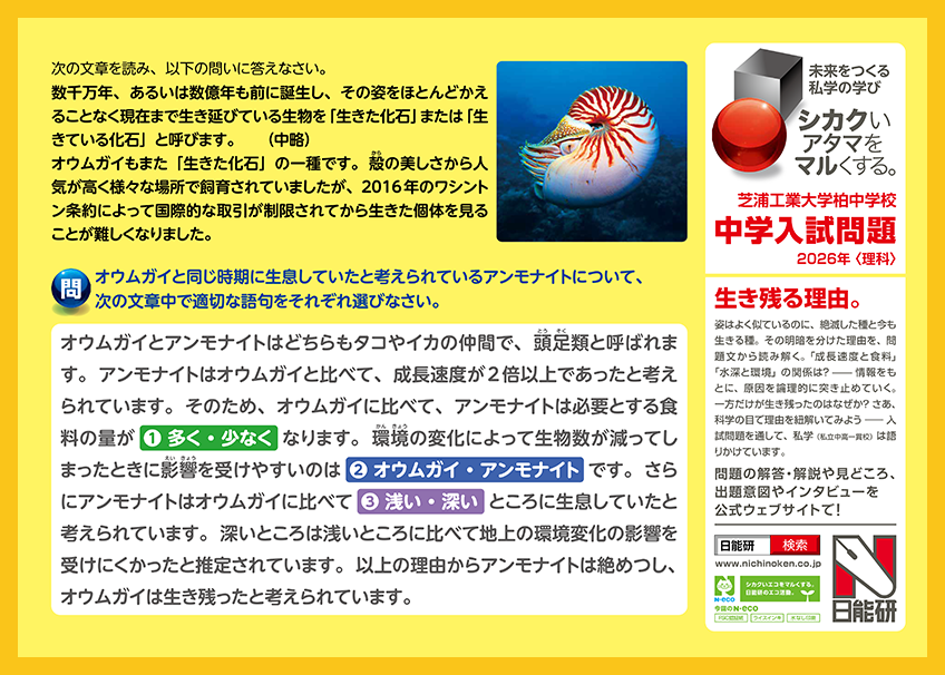 日能研 (@nichinokenjp) / Posts / X