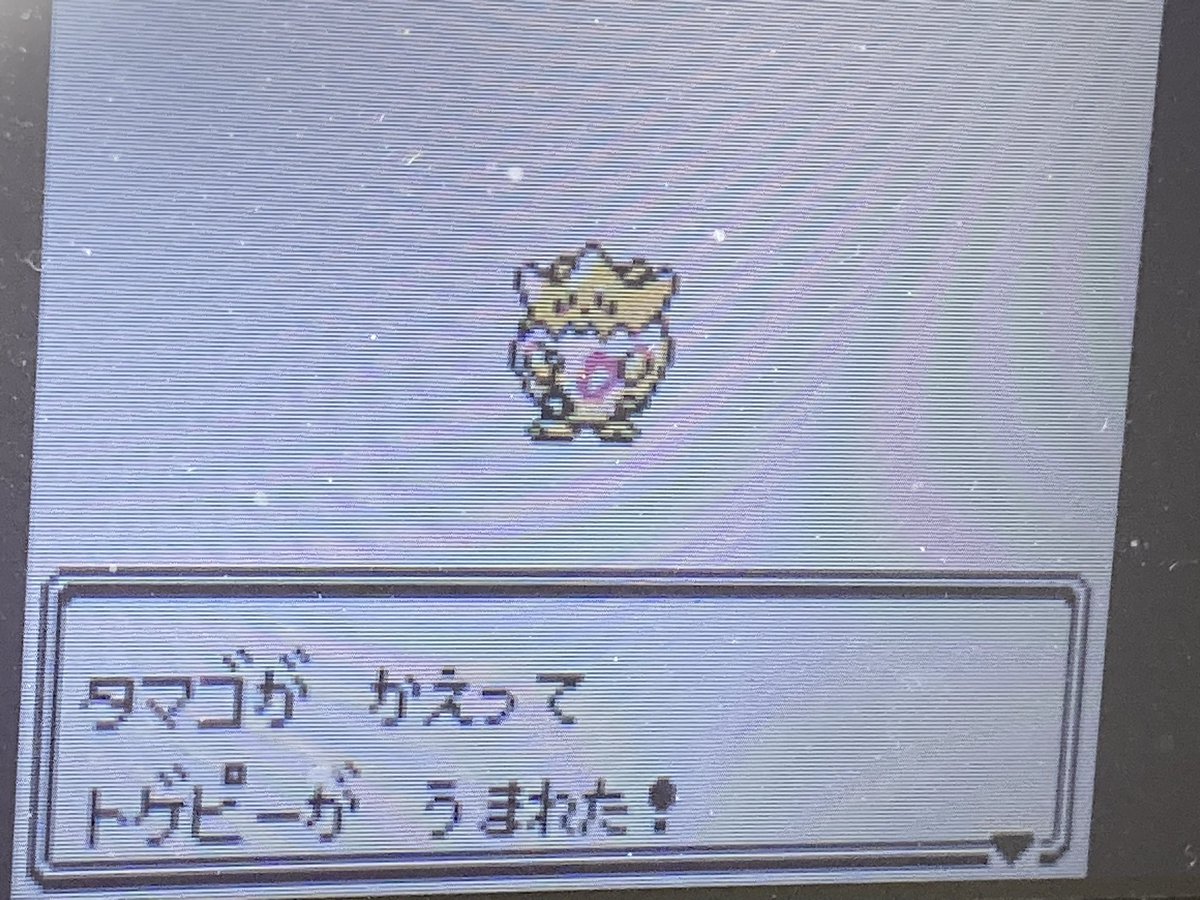 ハジメイチ tweet media