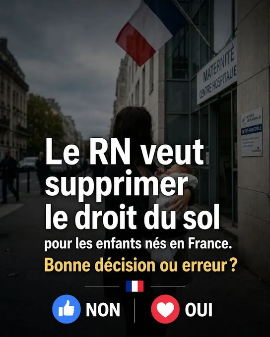 Rosetta Bouvier tweet media
