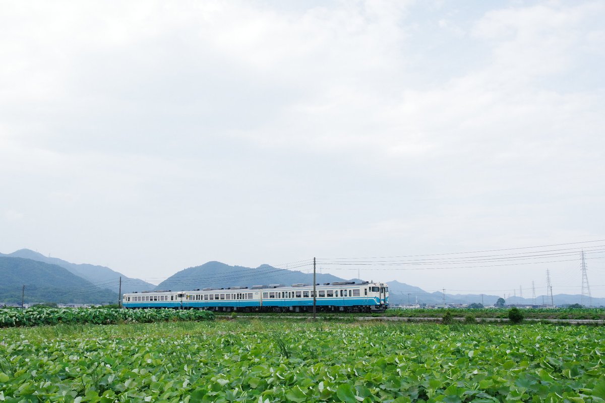 Tama_StXII's tweet photo. 夕方悪ニャンはハイブリッドの新型車に時間が合わなかったので、
キハ40/47を粘って撮影しました^ ^
Pentax K-3III + HD DA 16-85mm https://t.co/A0PzpkrHLf