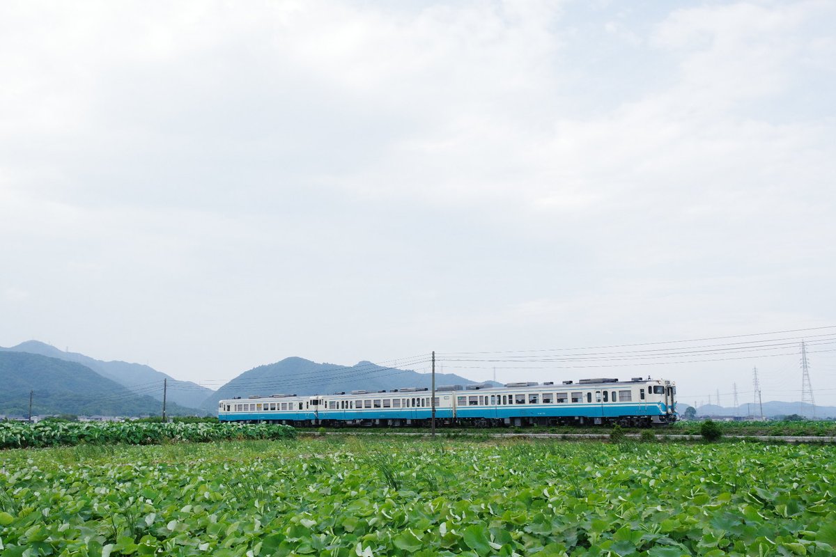Tama_StXII's tweet photo. 夕方悪ニャンはハイブリッドの新型車に時間が合わなかったので、
キハ40/47を粘って撮影しました^ ^
Pentax K-3III + HD DA 16-85mm https://t.co/A0PzpkrHLf