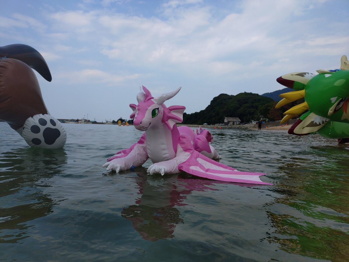 hoku70001's tweet photo. 🦈🔫とチェリ🐉連れてきた https://t.co/KB2bvbBzDN
