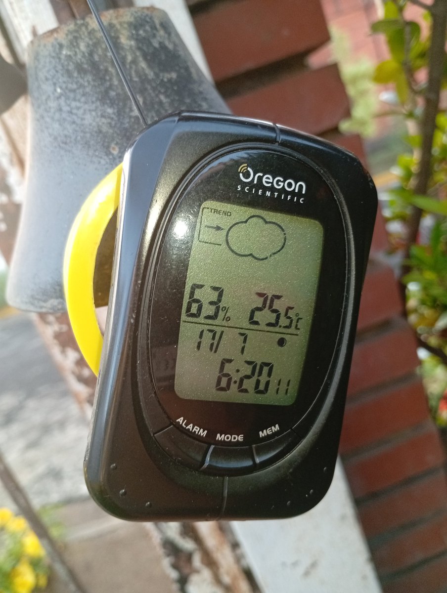 JorgePaolini1's tweet photo. #ELNiñoVEN2026
Medimos Humedad Relativa (1) Promedio Máximas 62,67% (BAJO). Nivelamos Pluviómetro (2) apenas 10 mm en medio de Ondas Tropicales (3).
La Niña desapareció nidos de TARÁNTULA Guayanesa (4) del mismo tamaño que la Azul de Paraguaná.
¡Muy pocas observadas en el Bosque! https://t.co/zWzUkD1Ivo