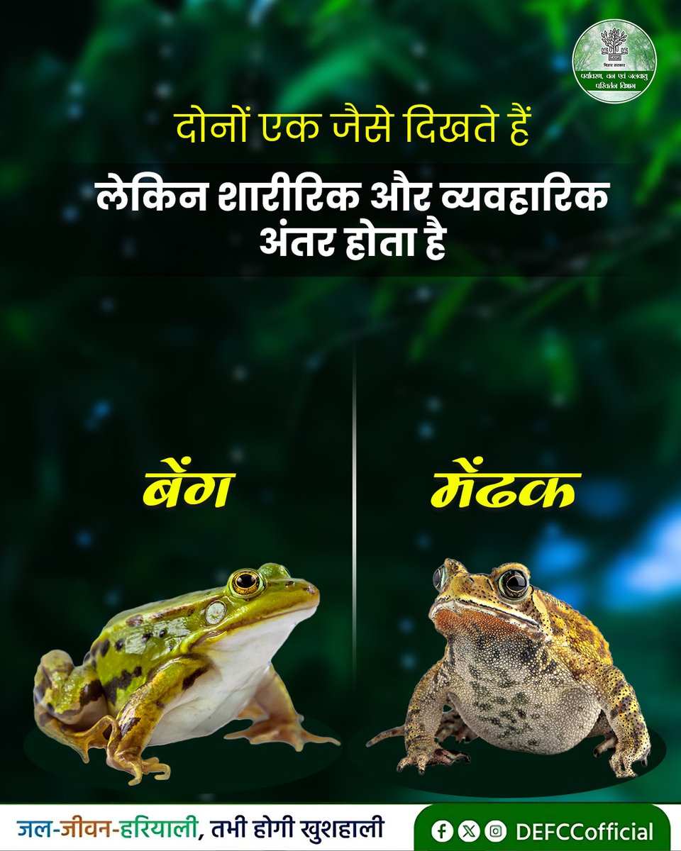 Department of Environment, Forest & Climate Change tweet media