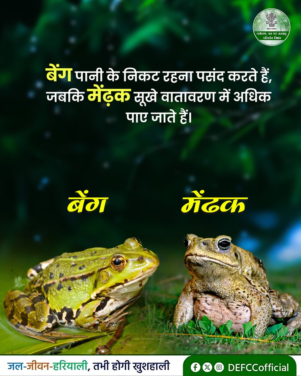 Department of Environment, Forest & Climate Change tweet media