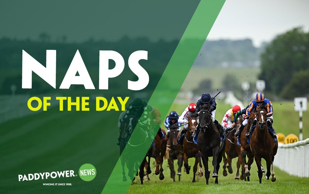 Ask Paddy Power tweet media