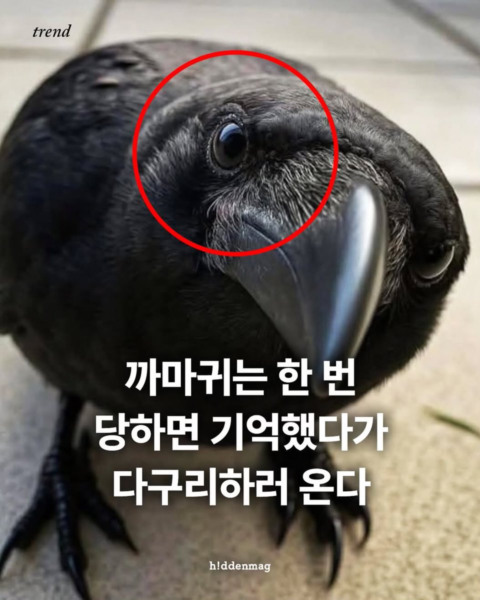 메롱 tweet media