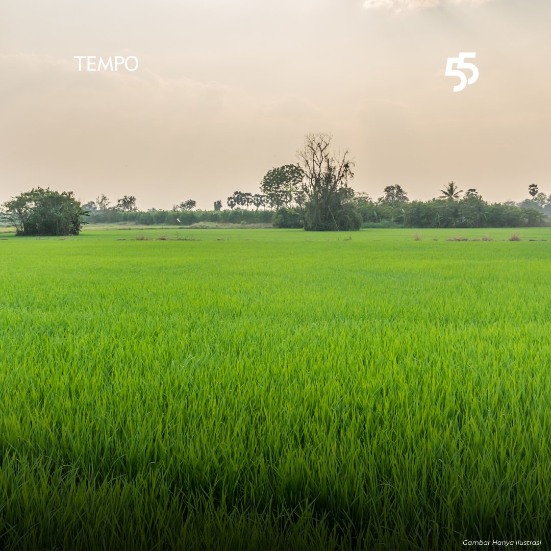 tempo.co tweet media