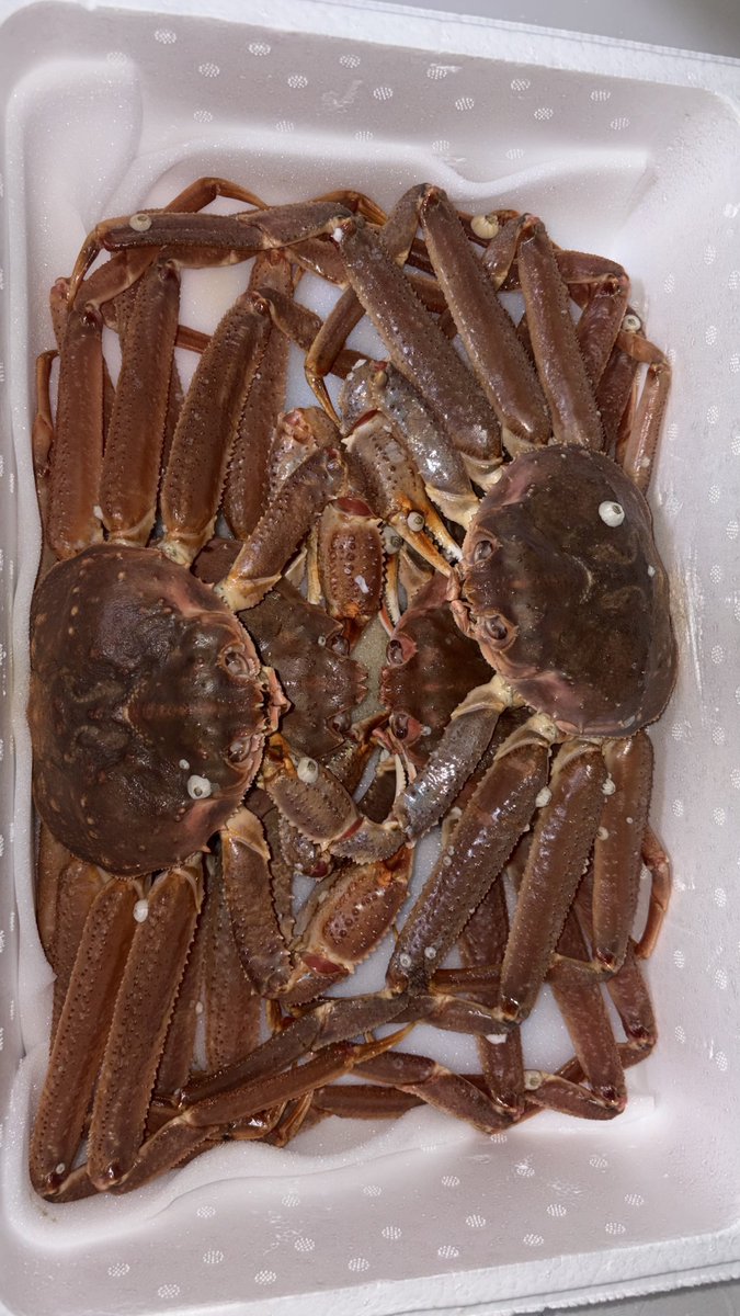 vehosalamander's tweet photo. 北海道の蟹 https://t.co/a8DJtrP2Xf