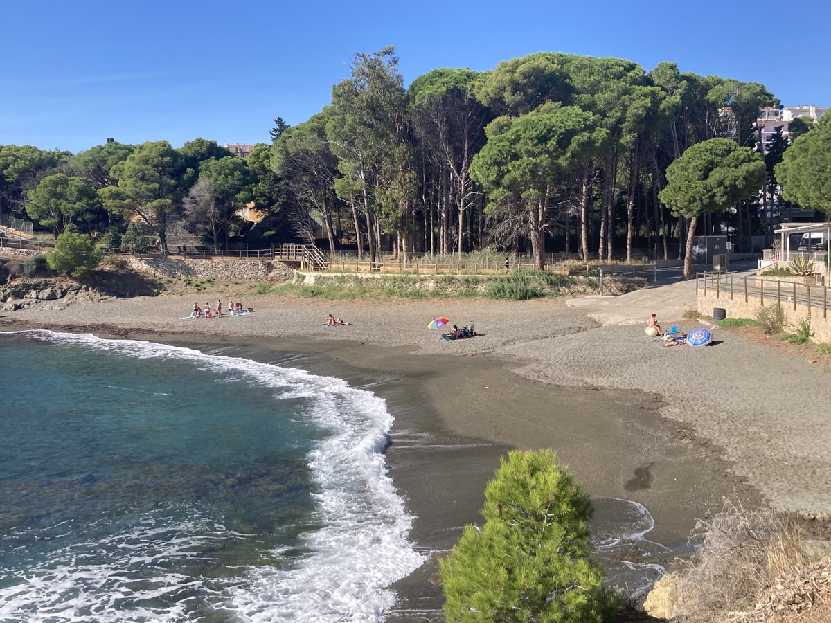 SosCostaBrava's tweet photo. 🌿 Aquest diumenge serem a Llançà!
📍 Ens trobaràs a la Platja de la Farella de 10 a 14 h.
💚 Vine a conèixer les campanyes de SOS Costa Brava, fer-te protector/a, informar-te de les lluites en defensa del territori i aconseguir els nostres productes solidaris.
☀️ T'hi esperem! https://t.co/8INXu84Aqk