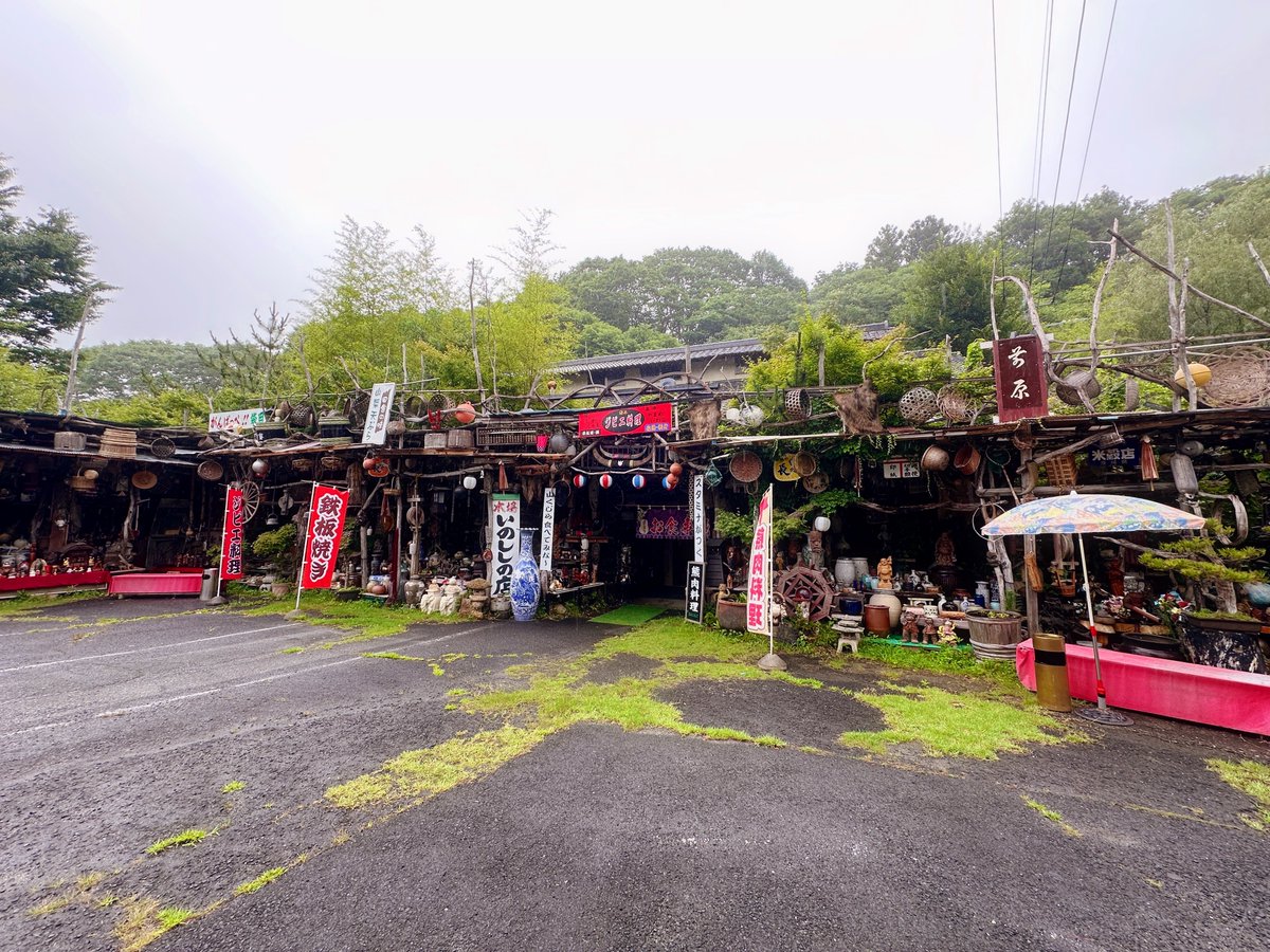 ynnubrocs's tweet photo. ジビエ屋さん、外観すごくて店内も剥製だらけでオオ、、、てなた　美味しかった！ https://t.co/x8HYcsTayC