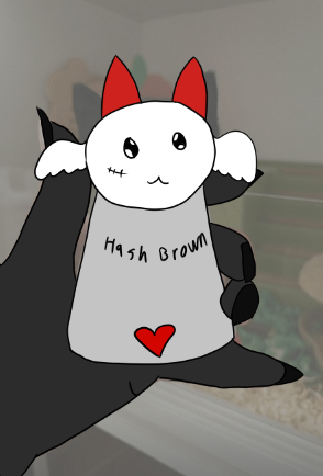 Bean Caretaker tweet media