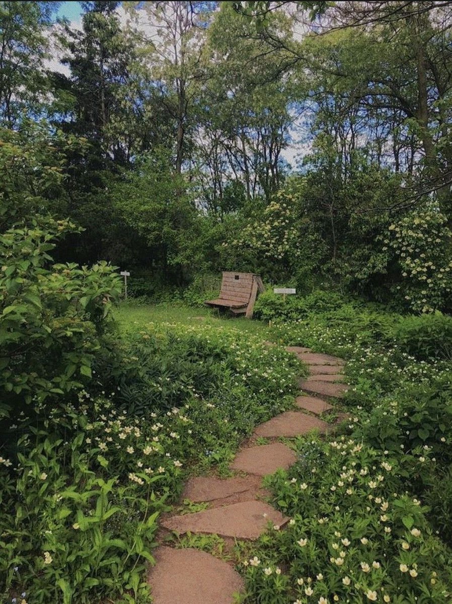 _Naturaee's tweet photo. Take a walk with me https://t.co/bwG0mnFKXj