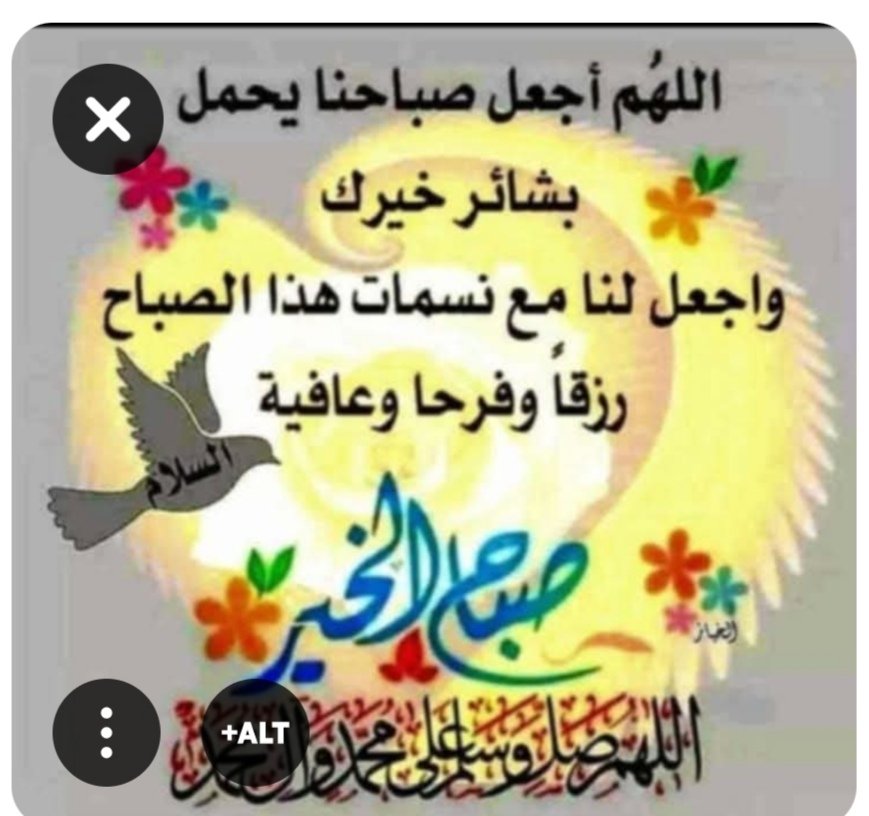 emysisiii's tweet photo. @belalhannout066 https://t.co/eyeuLXLHhU
