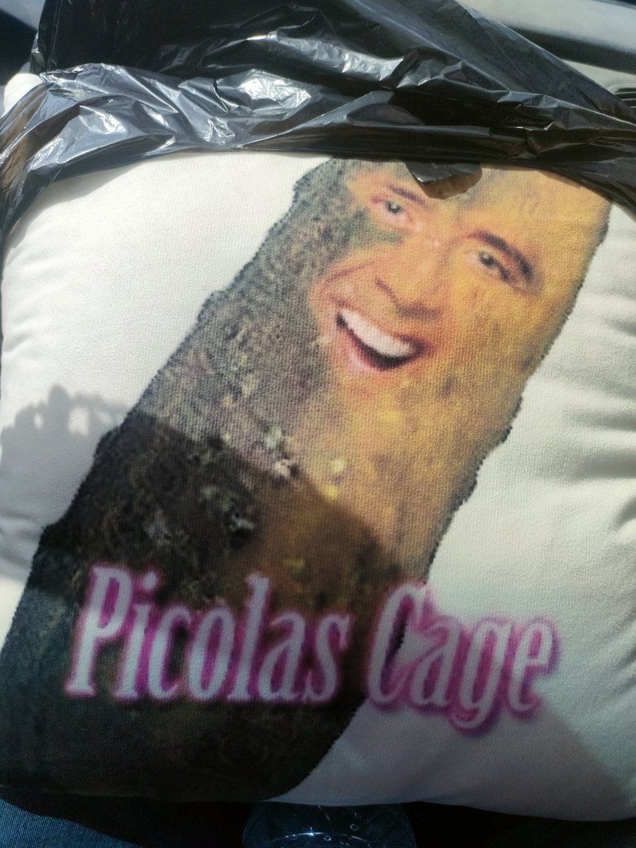 playz_phenix's tweet photo. Chat I found the best pillow ever https://t.co/bXq88BF4fd