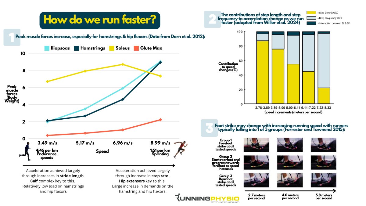 tomgoom's tweet photo. What happens when we run faster?🏃‍♂️
1. Peak muscles forces increase, especially for the hamstrings &amp; hip flexors
2. Acceleration is largely achieved by increasing step length at low speeds &amp; step rate at high speeds
3. Runners may change foot strike but individual response varies https://t.co/JlDbNPH1MB