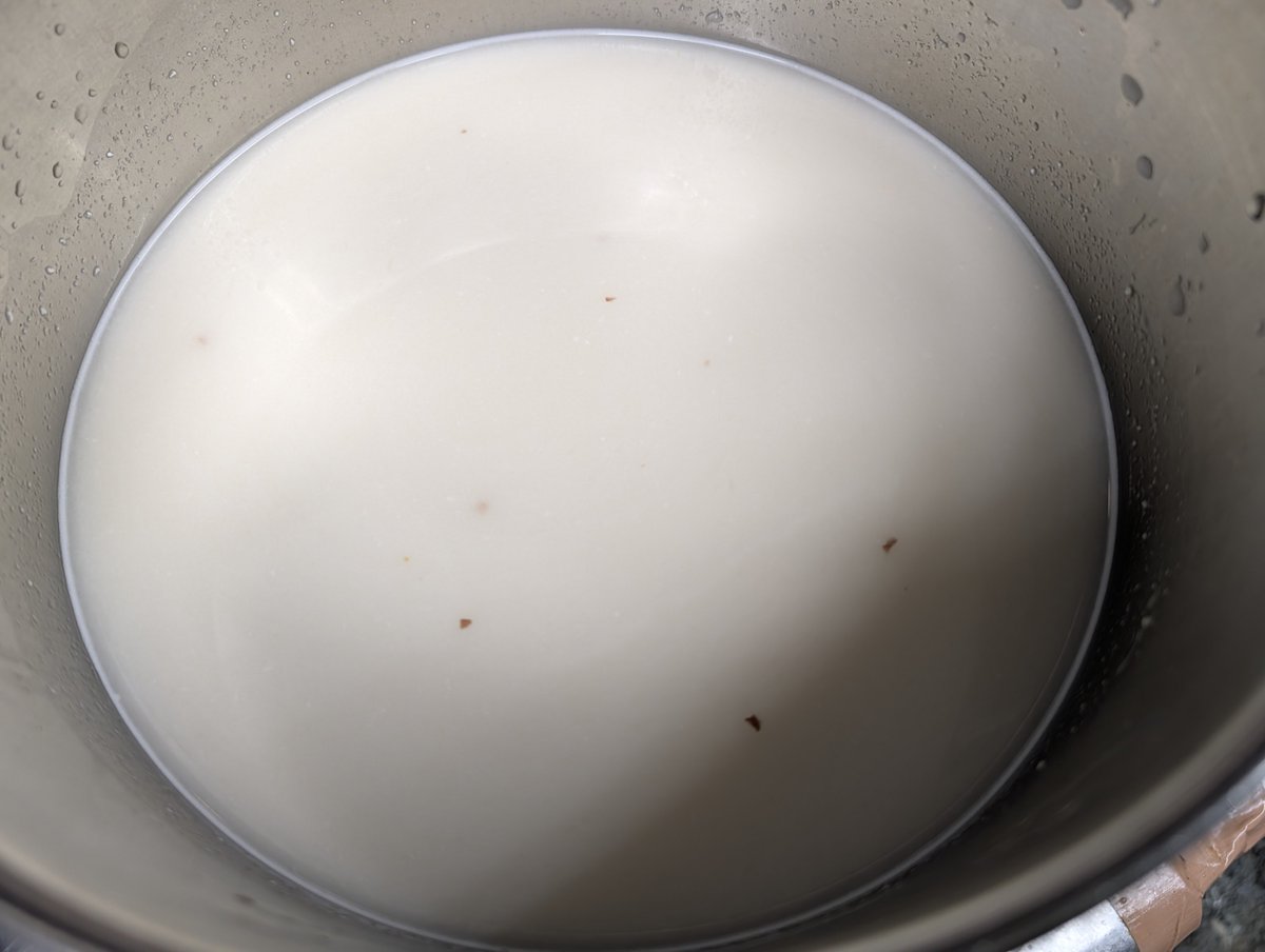 kajimen55's tweet photo. 18時から夜営業です！

最近コーヒーにハマり、家では水出しコーヒーを作っています。豆を挽いて約12時間漬けて完成。

アーモンドミルクも同じように、ミキサーにかけて一晩漬け込んでおります。
これが正解かはまだわかりませんが、クリーミーなスープに仕上がっています☻ https://t.co/lfXjVQGh3X