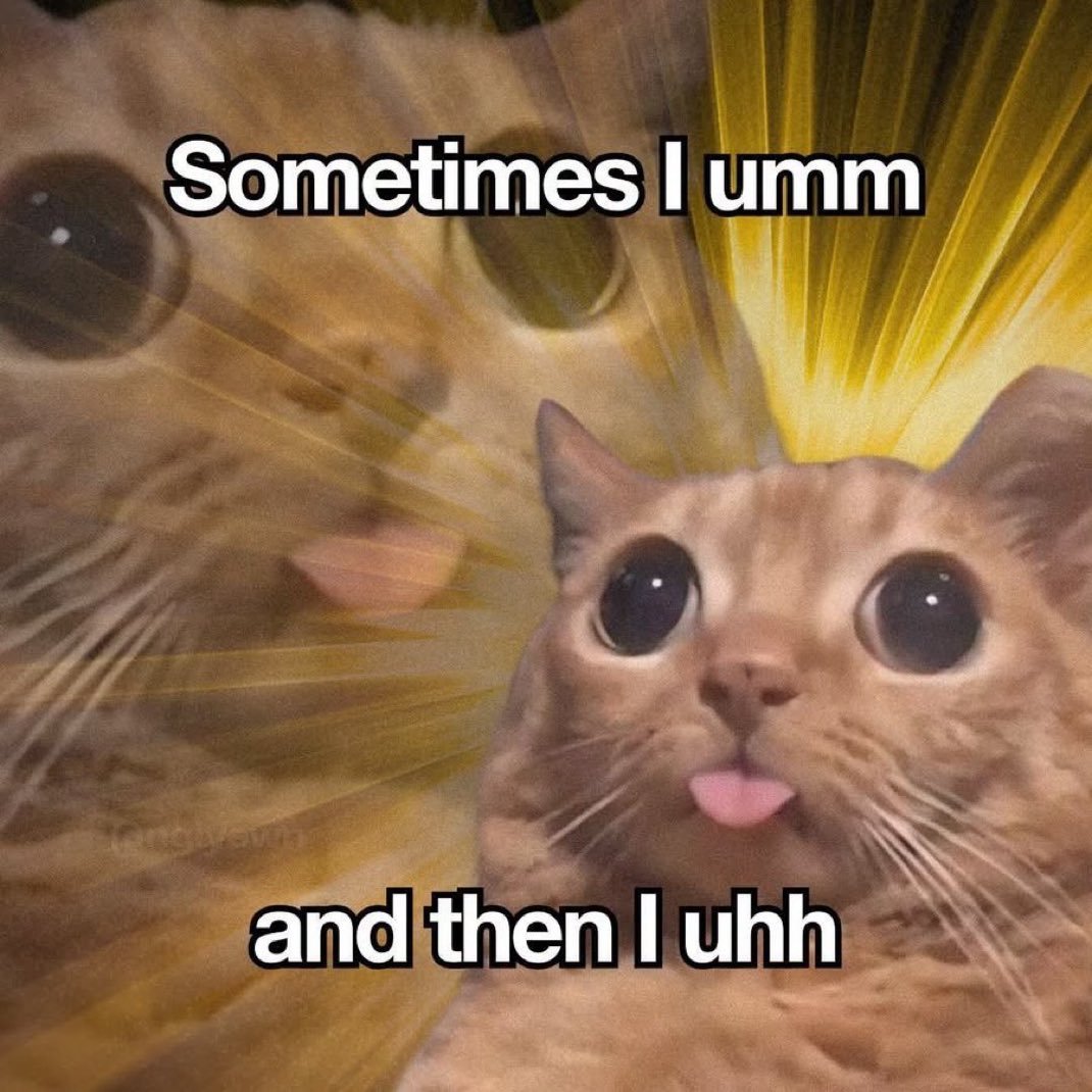 wrldofcatsncats's tweet photo. https://t.co/Xplrhom1w3